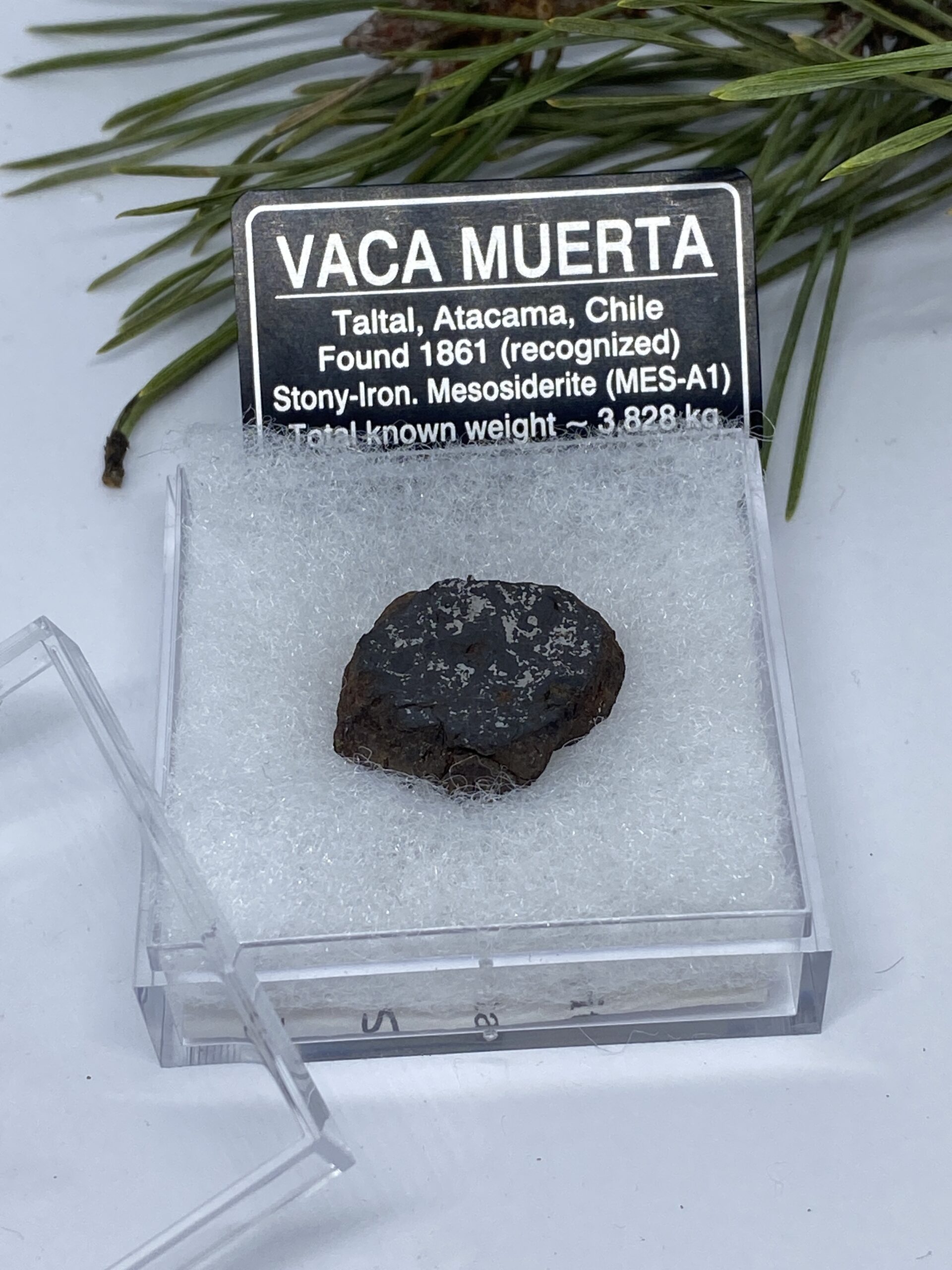 Meteoriitti Vaca Muerta Chile JALOKIVIGALLERIA Meteoriitti Vaca Muerta Chile JALOKIVIGALLERIA